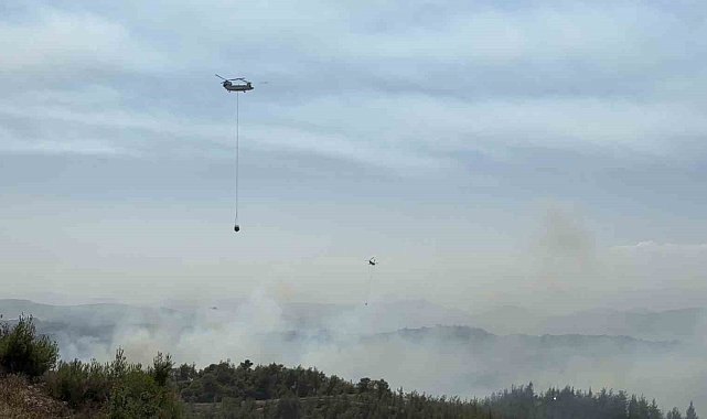 Adana'da orman yangını kontrol altında: 6 gözaltı