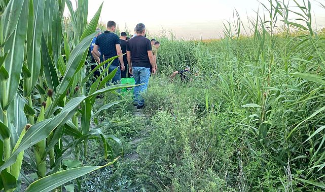 Adana'da sazlıklar arasında bir kişi ölü bulundu