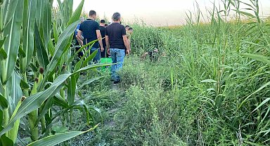 Adana'da sazlıklar arasında bir kişi ölü bulundu