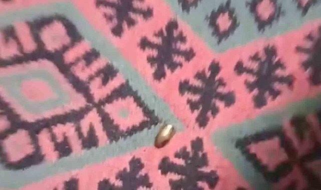 Adana'da yorgun mermi, ailenin oturduğu çardağa isabet etti