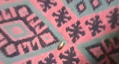 Adana'da yorgun mermi, ailenin oturduğu çardağa isabet etti