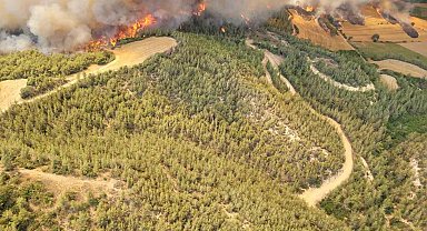 Adana'daki orman yangınına 12 helikopter ve 2 uçakla havadan müdahale