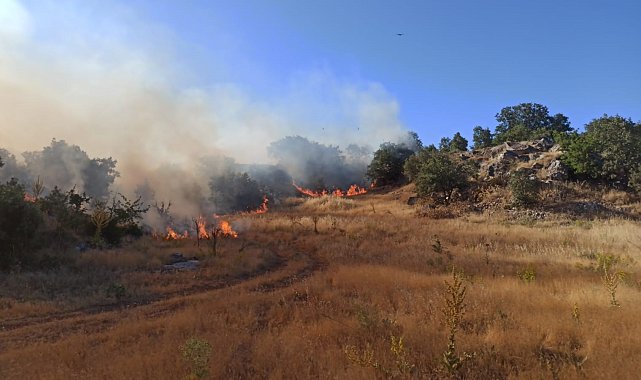 Adıyaman'da orman yangını korkuttu