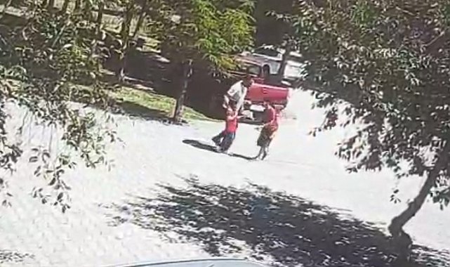 Ahlat'ta başıboş köpeklerin saldırısına uğrayan çocuk son anda kurtarıldı
