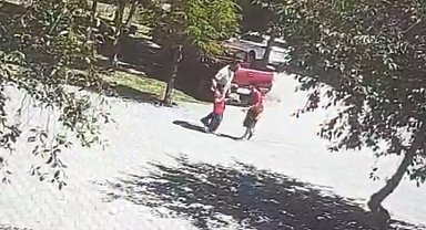 Ahlat'ta başıboş köpeklerin saldırısına uğrayan çocuk son anda kurtarıldı