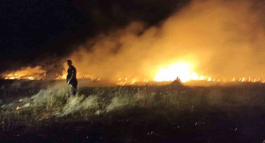 Akçadağ'da bahçe ve sazlık yangını: 25 Kayısı ağacı zarar gördü