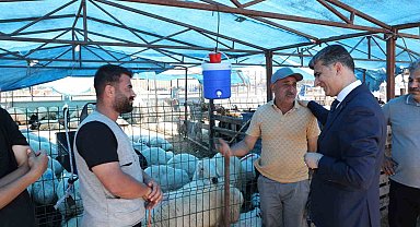 Akdeniz'de kurban satış yerleri hazır