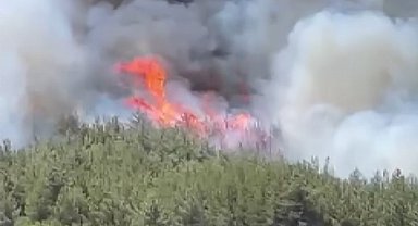 Akhisar'da başlayan orman yangınına müdahale devam ediyor