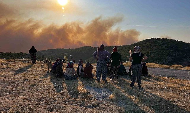 Akhisar'daki orman yangınıyla ilgili 1 gözaltı
