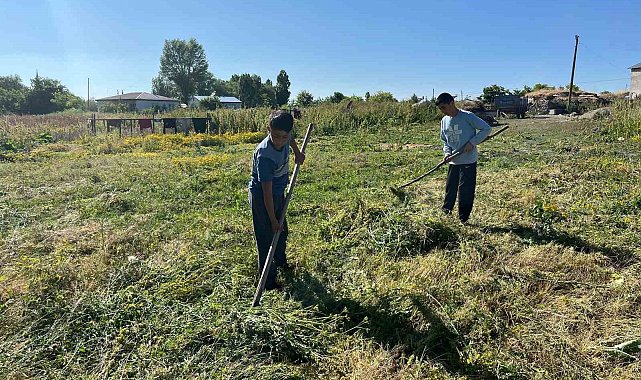 Akyaka'da ot biçimi başladı