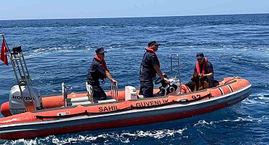 Alanya Kalesi'nde kayalık bölgede mahsur kalan dağ keçisi kurtarıldı