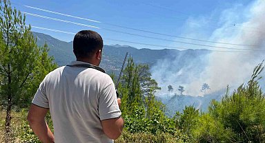Alanya'daki yangınını kontrol altına alınması çalışmaları devam ediyor