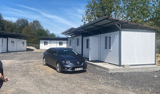 Alaplı'da sahipsiz hayvanlar toplanıyor