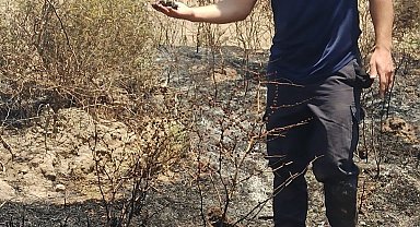 Alevler içinde kalan yavru serçeye, itfaiyeden can suyu