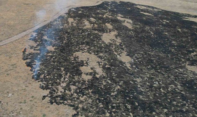 Alevler, tarım arazisine metreler kala kontrol altına alındı: 250 dönüm otluk alan kül oldu
