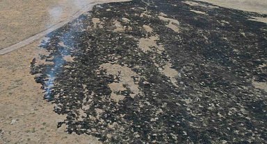 Alevler, tarım arazisine metreler kala kontrol altına alındı: 250 dönüm otluk alan kül oldu