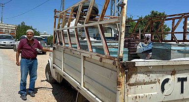 Alevlerin arasına arılarını kurtarmaya geldi