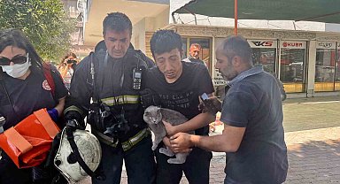 Alevlerin sardığı evde balkona sığındı, kedisini elinden bırakmadı