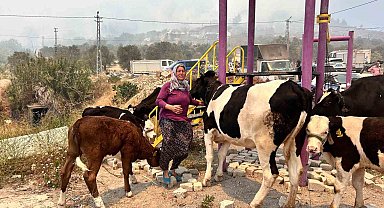 Alevlerin sıçradığı ahırından ekiplerin yardımıyla hayvanları kurtardı