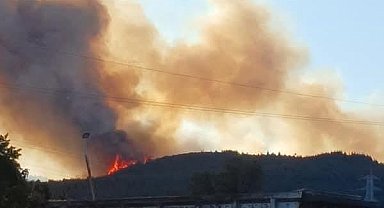 Aliağa'daki orman yangıyla ilgili 1 kişi tutuklandı