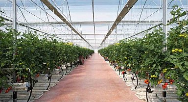 Altun Gıda, Karya Doğal Tarım Üretim ve Seracılık'ı satın aldı