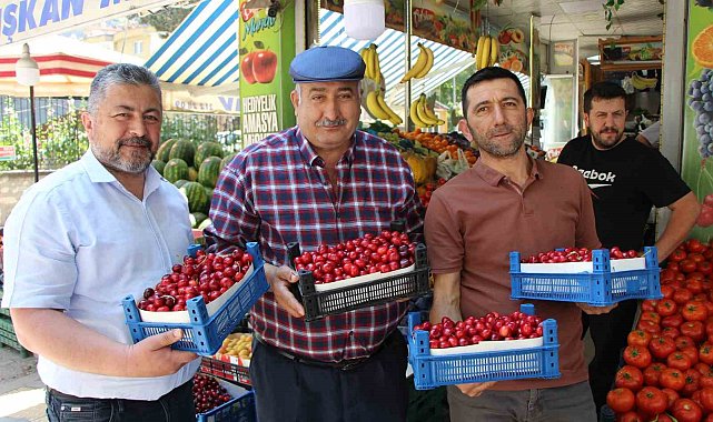 Amasya'da 60 yıldır yarışması yapılıyordu, şimdi bir tane bile kiraz yok