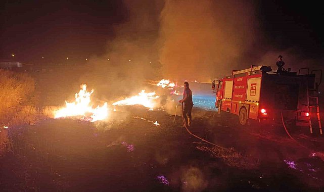 Anız yangınında ağaçlar, direkler ve kablolar zarar gördü
