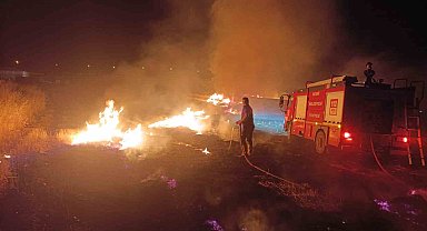 Anız yangınında ağaçlar, direkler ve kablolar zarar gördü