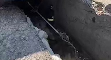 Ankara'da aracın altına giren yılan çıkarıldı