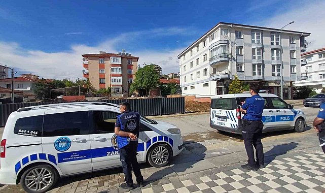 Ankara'da kaçan dana yaşlı kadını yaraladı