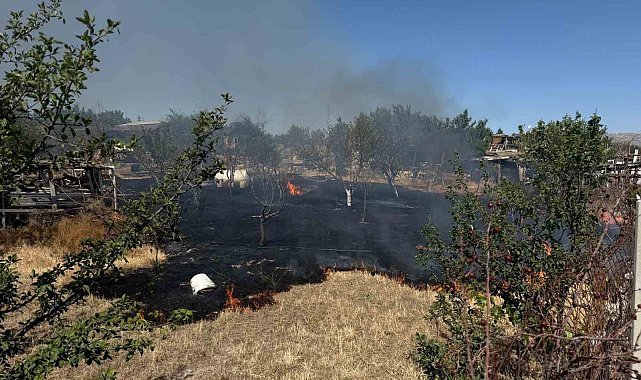 Ankara'da ot yangını korkuttu