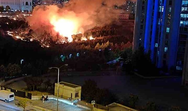 Ankara'daki arazi yangını söndürüldü