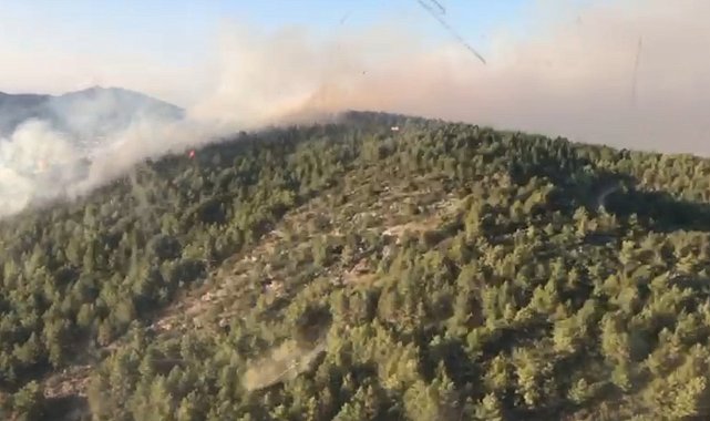 Antalya Gazipaşa'da orman yangını
