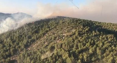 Antalya Gazipaşa'da orman yangını