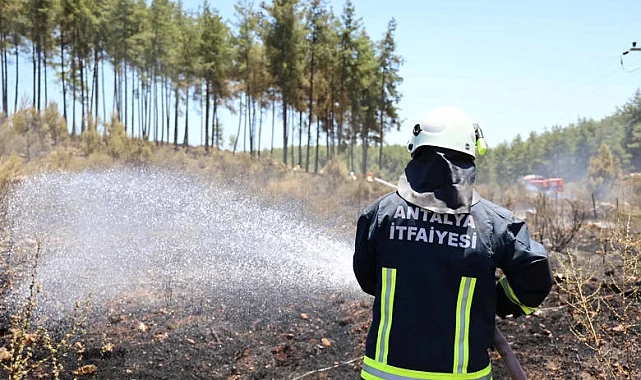 Antalya İtfaiyesi'nden orman yangınlarına müdahale