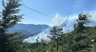 Antalya'da 2 ilçede orman yangını