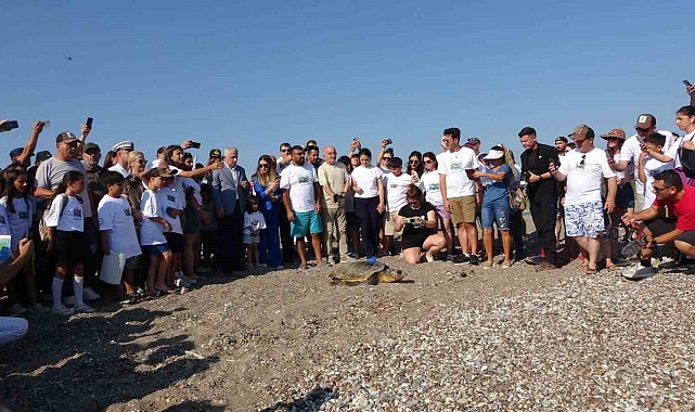 Antalya'da deniz kaplumbağaları çip takılarak denize uğurlandı