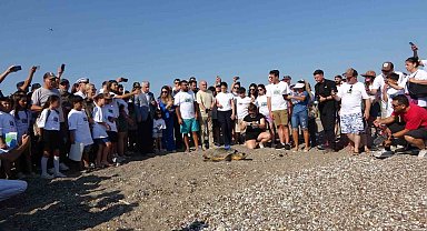 Antalya'da deniz kaplumbağaları çip takılarak denize uğurlandı