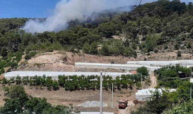 Antalya'da orman yangını
