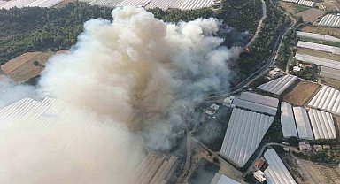 Antalya'da orman yangını