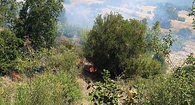 Antalya'da ormanı tehdit eden yangın kontrol altına alındı