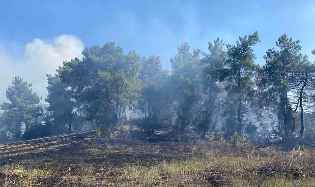 Antalya'da ormanlık alanda çıkan yangın 2 saatte kontrol altına alındı
