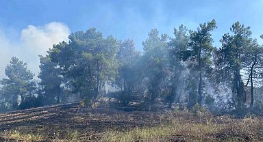 Antalya'da ormanlık alanda çıkan yangın 2 saatte kontrol altına alındı
