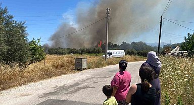 Antalya'da ormanlık alanda yangın