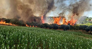Antalya'da ormanlık ve kırsal alanda çıkan yangın kontrol altına alındı