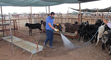 Antalya'da bayram öncesi yoğun ilaçlama