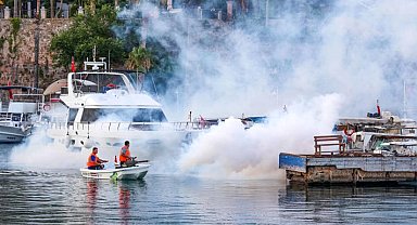 Antalya'nın her köşesinde vektörle mücadele