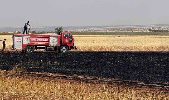 Araban Ovası'nda 15 dönüm buğday ekili alan daha yandı