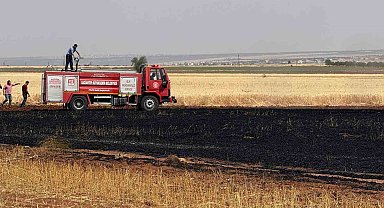 Araban Ovası'nda 15 dönüm buğday ekili alan daha yandı