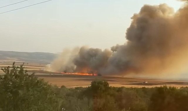 Araban Ovası'nda buğday tarlalarında yangın: 500 dönüm ekili alan kül oldu